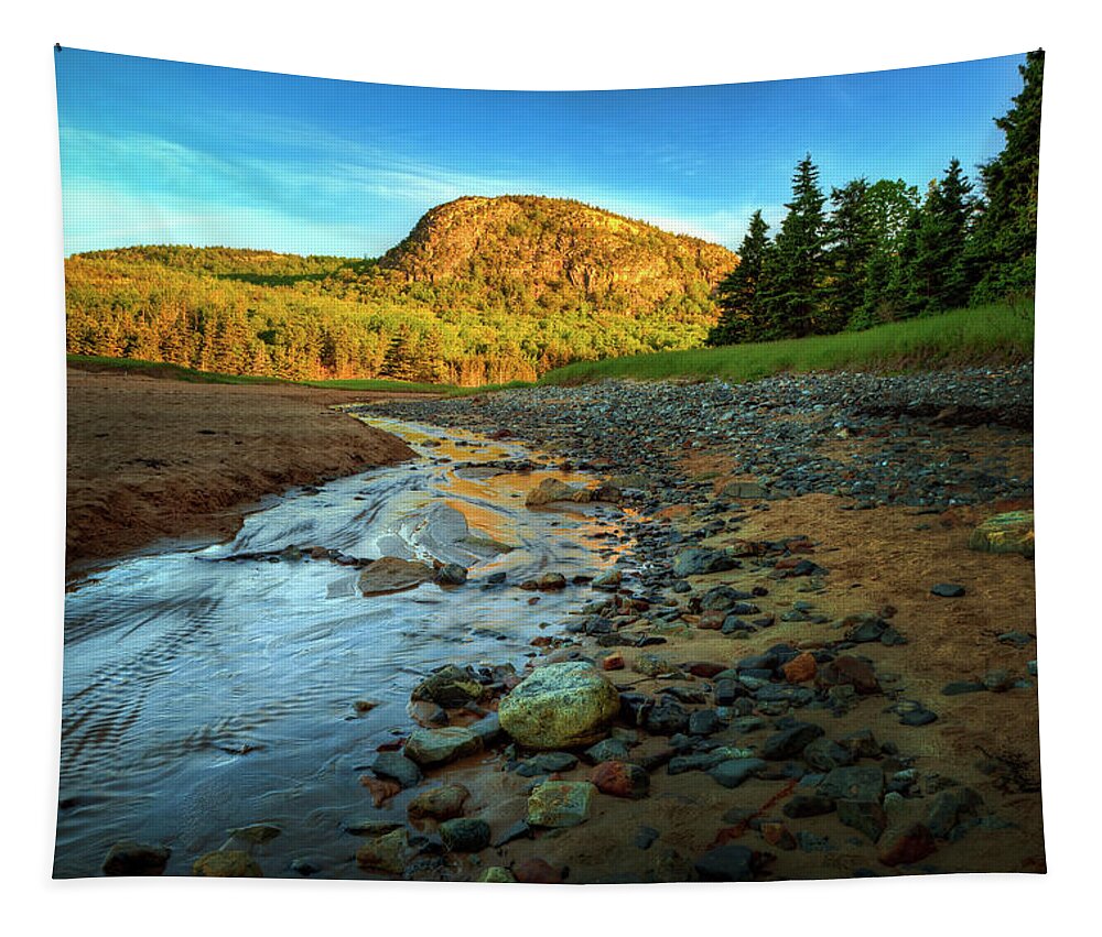 Acadia Tapestry featuring the photograph The Beehive 0185 by Greg Hartford