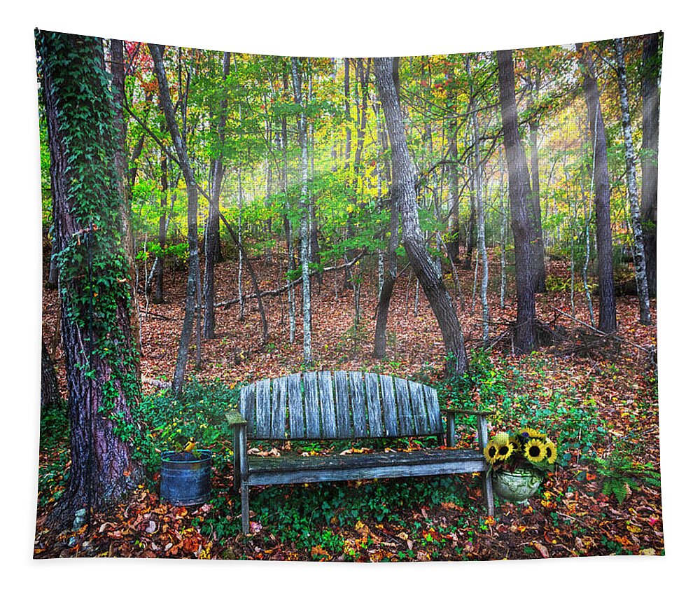 Barns Tapestry featuring the photograph The Bench in the Forest by Debra and Dave Vanderlaan