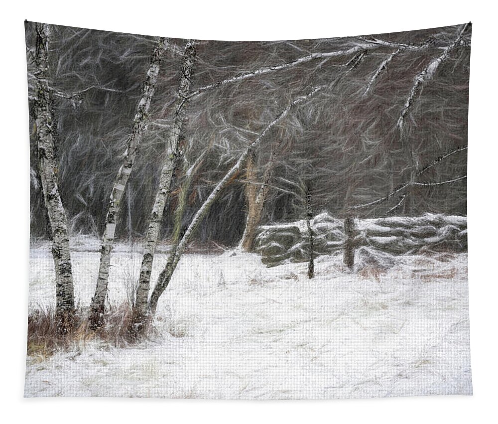 Birch Tapestry featuring the photograph The Birches of Orris Road by Wayne King