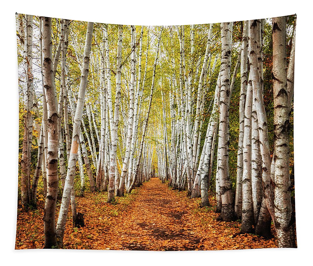 Birches Tapestry featuring the photograph The Birches by Robert Clifford