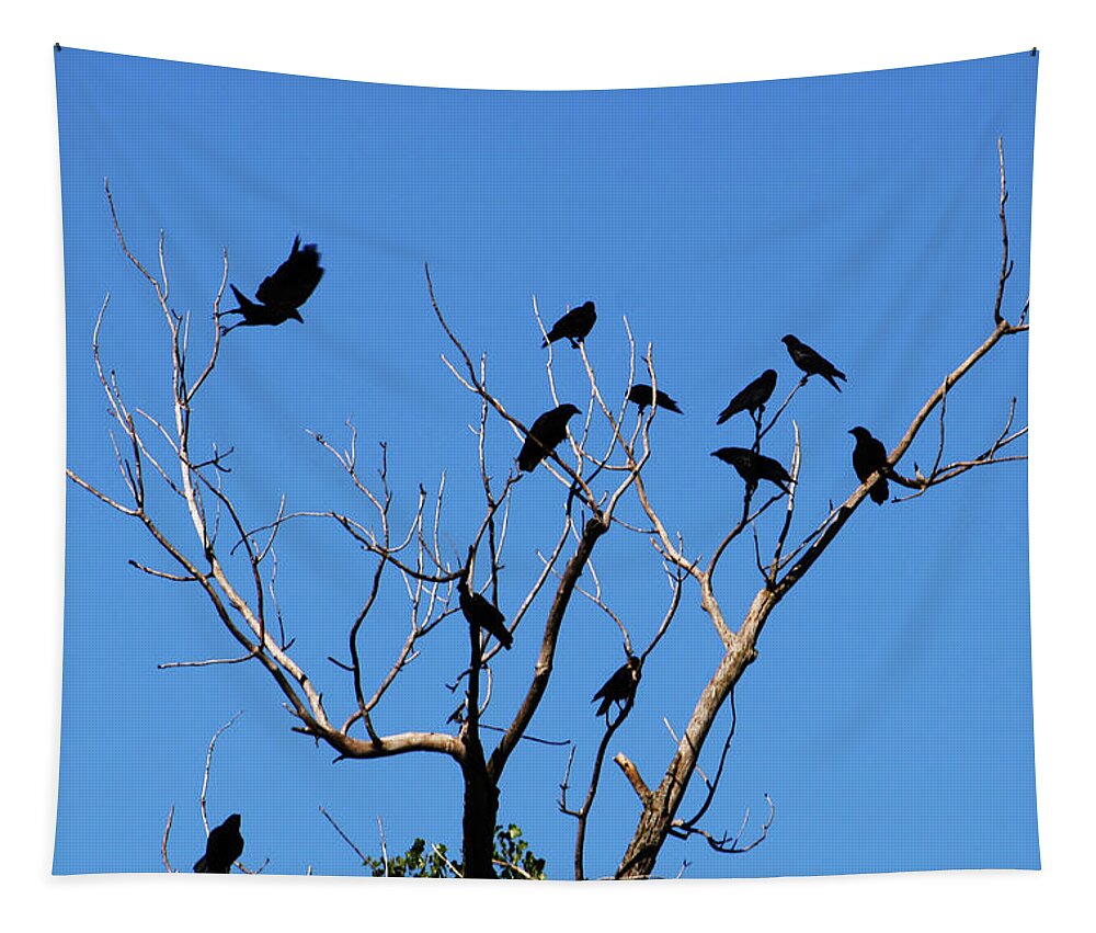 Crows Tapestry featuring the photograph The Birds by Cheryl Day