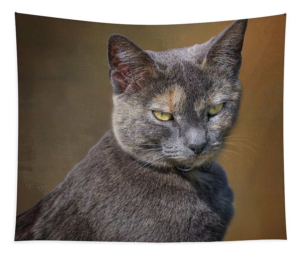 Cats Tapestry featuring the photograph The Boss - Cat by Nikolyn McDonald
