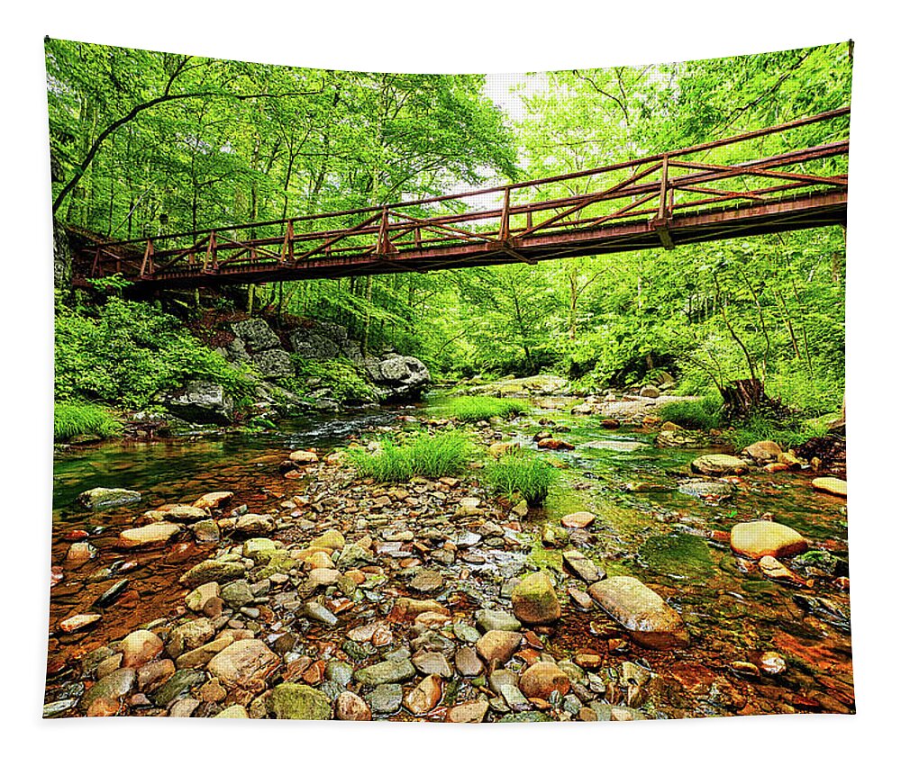 North Carolina Tapestry featuring the photograph The Bridge Over Otter Creek by Dan Carmichael