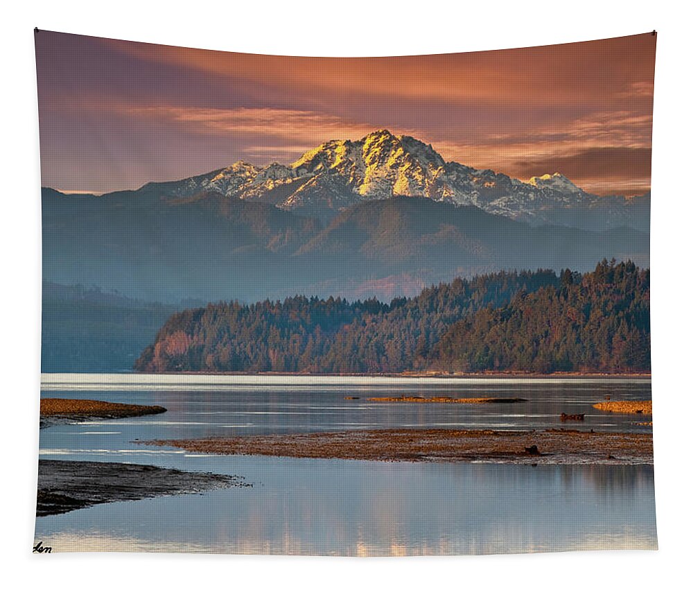 Bay Tapestry featuring the photograph The Brothers from Hood Canal by Jeff Goulden