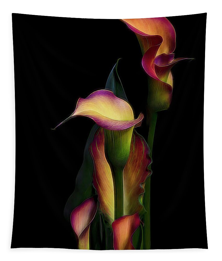 Tulip Tapestry featuring the photograph The Calla Lilies by Judi Kubes