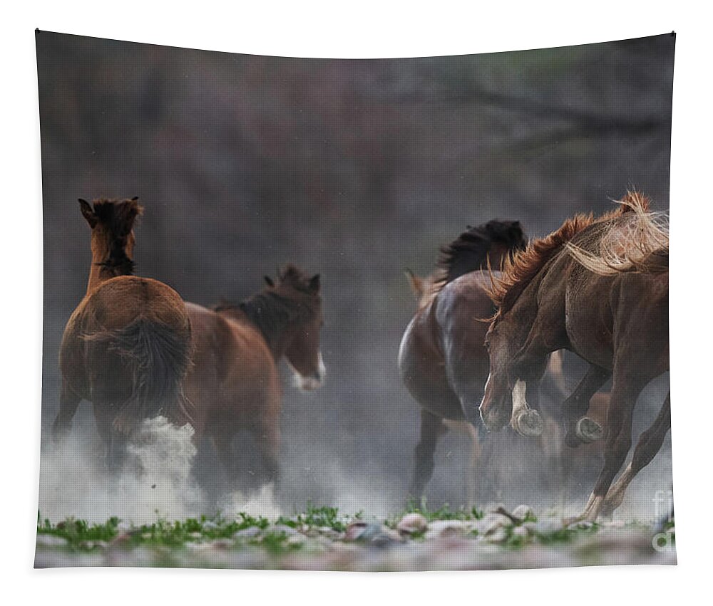 Stallion Tapestry featuring the photograph The Chase by Shannon Hastings