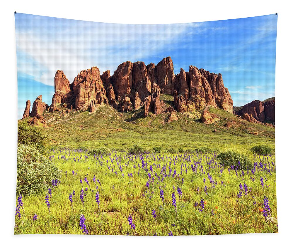 Arizona Tapestry featuring the photograph The Color of Spring by Rick Furmanek