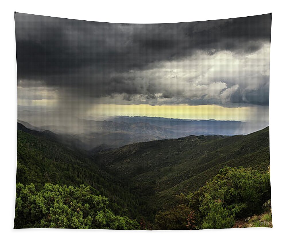 Arizona Tapestry featuring the photograph The Coming Storm by Rick Furmanek