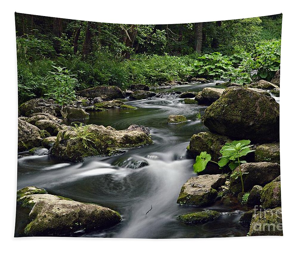 Wasser Tapestry featuring the photograph The Creek by Thomas Schroeder