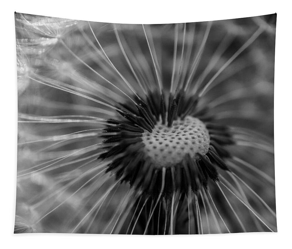 Landscape Tapestry featuring the photograph The dandelion by Jamie Tyler