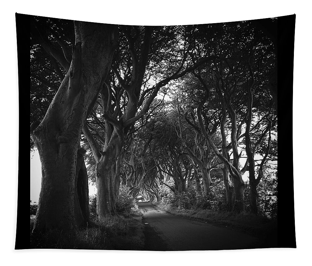 Tree Tapestry featuring the photograph The dark hedges G.O.T #1 by Joelle Philibert