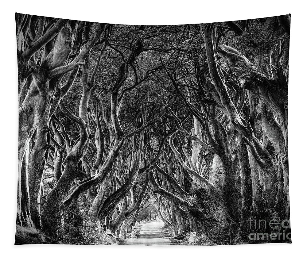 Ireland Tapestry featuring the photograph The Dark Hedges by Phil Perkins