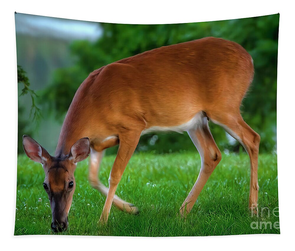 Deer Tapestry featuring the photograph The Deer by Shelia Hunt