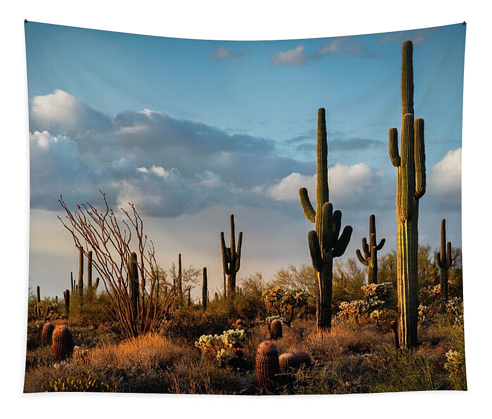 Arizona Tapestry featuring the photograph The Desert After The Rain by Saija Lehtonen