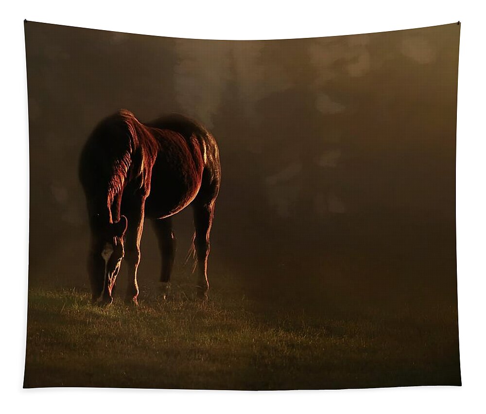 Horse Tapestry featuring the photograph The Evening Pasture by Marjorie Whitley