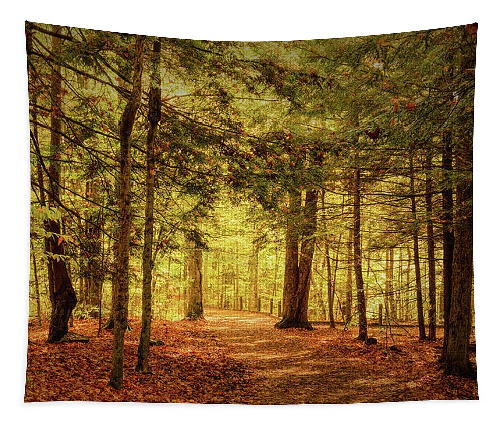 Trail Tapestry featuring the photograph The Falls Trail by Rod Best