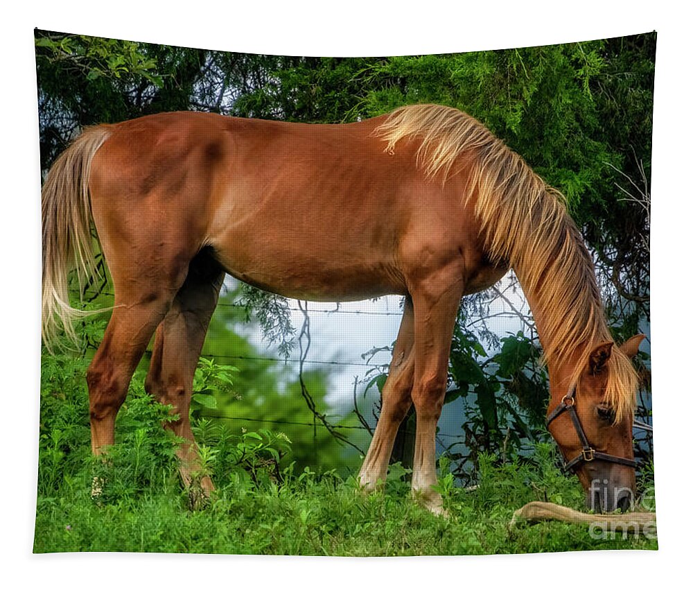 Horse Tapestry featuring the photograph The Farm Horse by Shelia Hunt