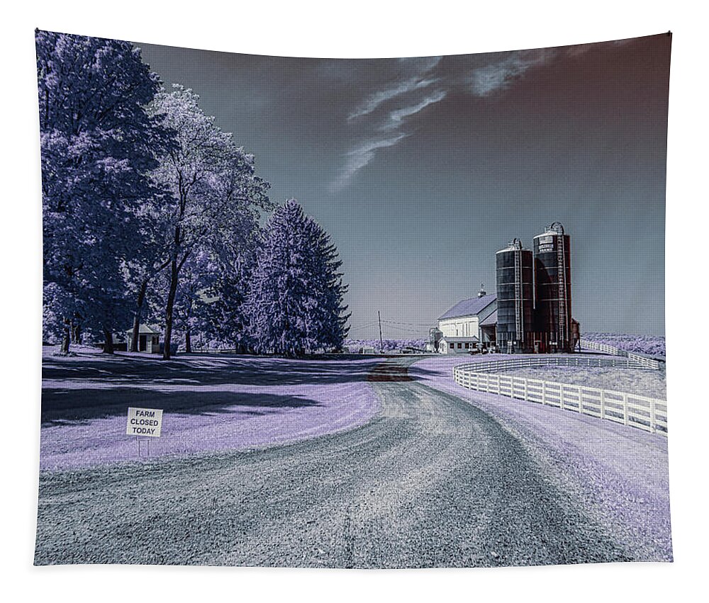 Infrared Photography Tapestry featuring the photograph The Farm by Penny Polakoff