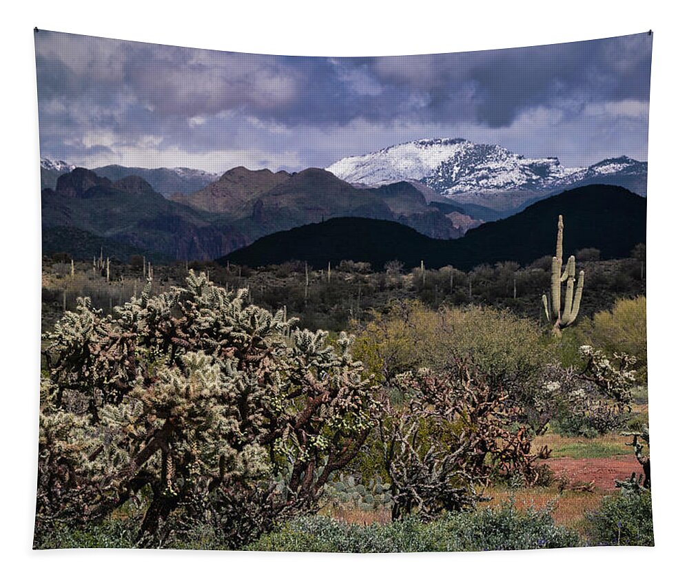 Arizona Tapestry featuring the photograph The First Day Of Spring In The Sonoran by Saija Lehtonen