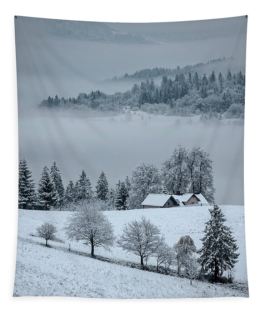 Landscape Tapestry featuring the photograph The first snow by Jaroslaw Blaminsky
