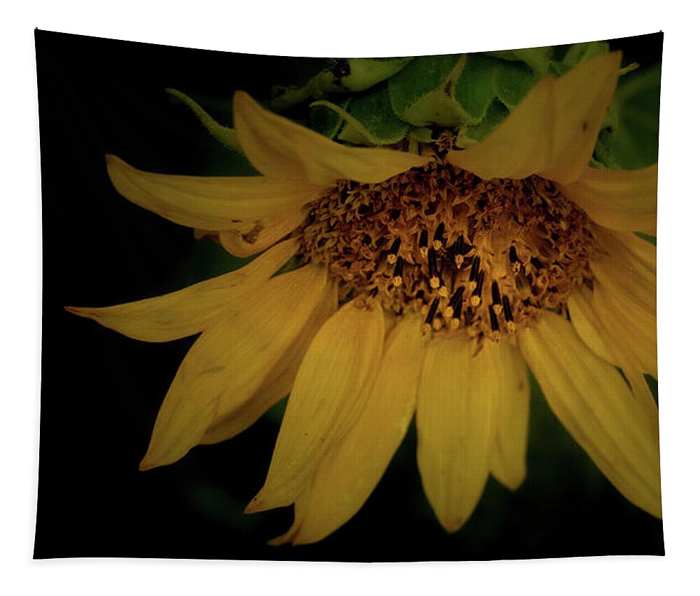 Flower Tapestry featuring the photograph The Flashy Wild Sunflower by Laura Putman