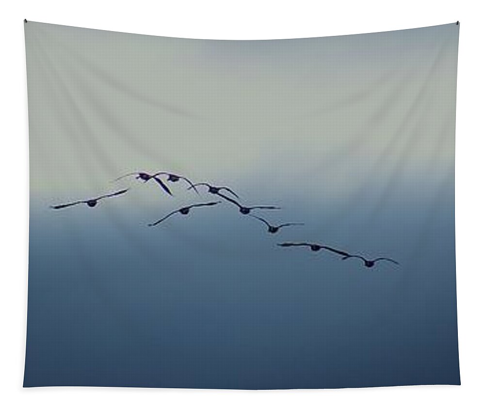 Birds Tapestry featuring the photograph The Flight Path by Jimmy Chuck Smith