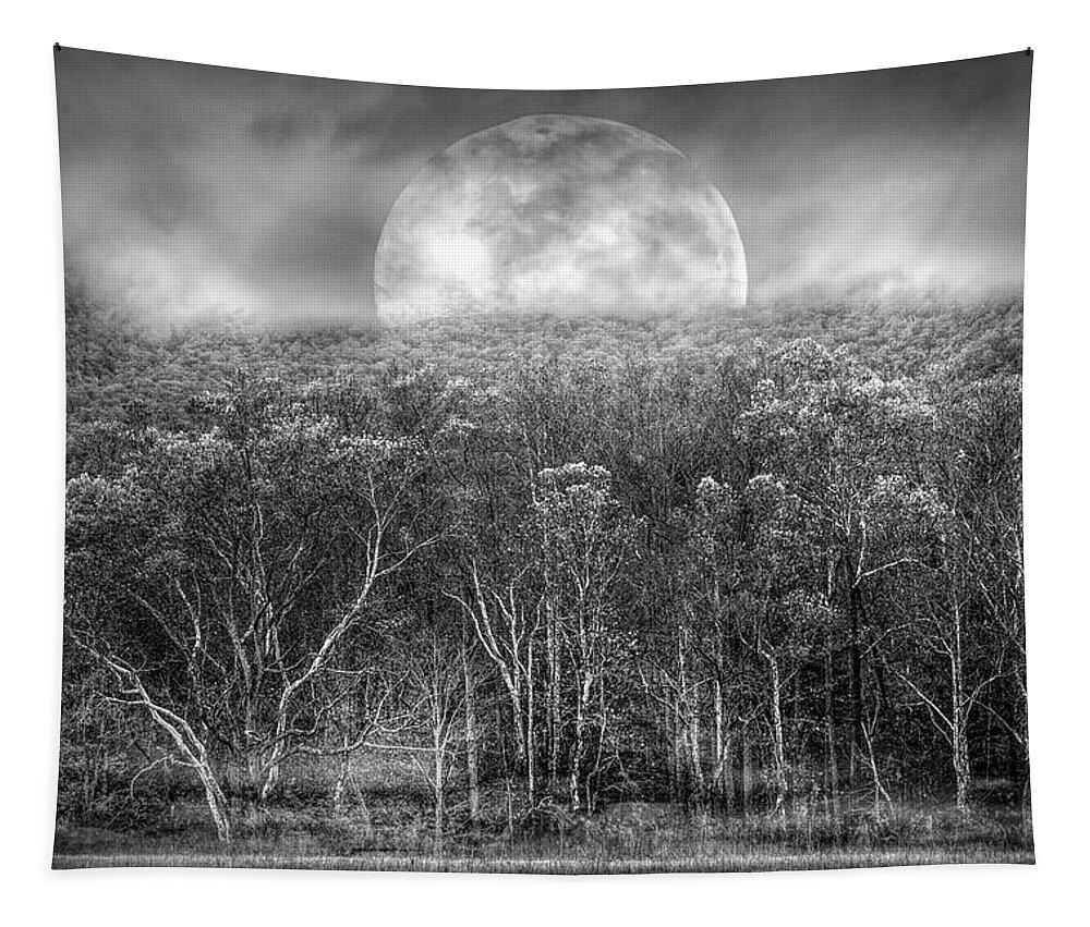 Cades Tapestry featuring the photograph The Forest Awaits Under the Autumn Moon in Black and White by Debra and Dave Vanderlaan