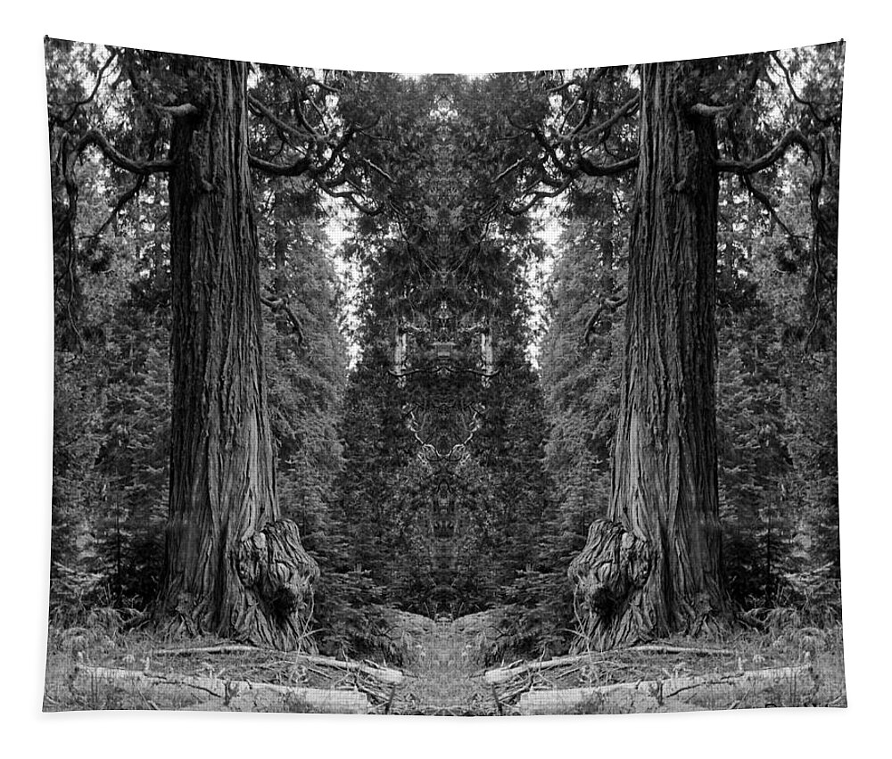 Nature Art Tapestry featuring the photograph The Forest of the Universe #1 by Ben Upham III