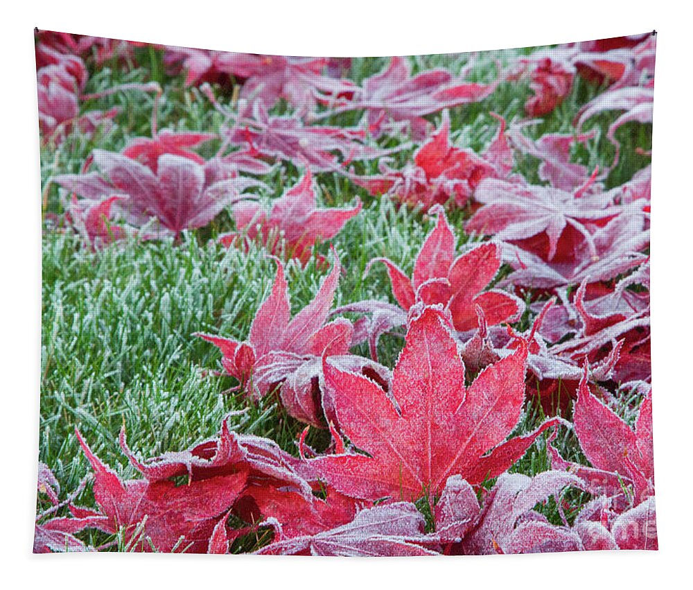 Maple Tapestry featuring the photograph The Frosted Fallen by Marilyn Cornwell