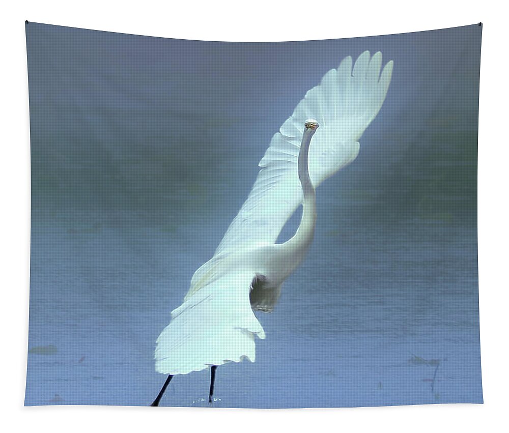 Faune Tapestry featuring the photograph The Great dancing Egret by Carl Marceau