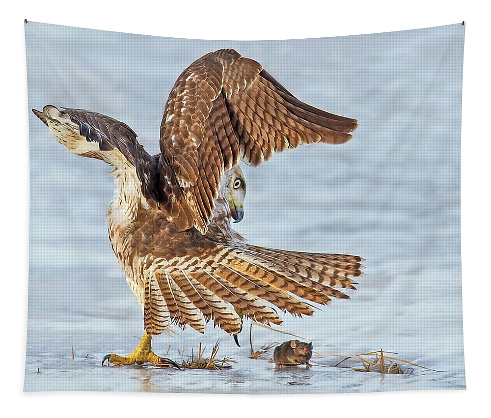 Red-tailed Hawk Tapestry featuring the photograph The Great Escape by CR Courson