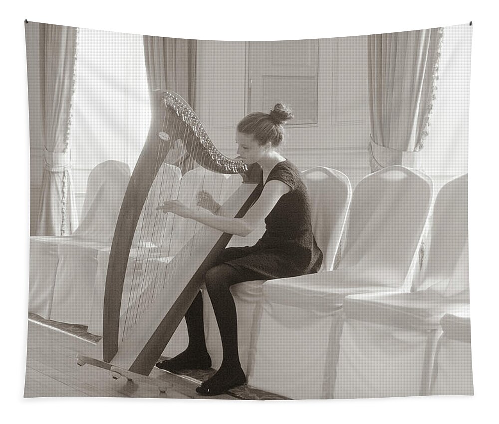 Harp Music Tapestry featuring the photograph The Harpist by Edward Shmunes
