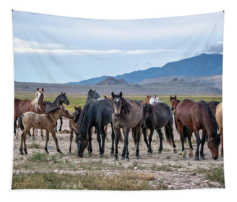 Horse Tapestry featuring the photograph The Herd by Jeanette Mahoney