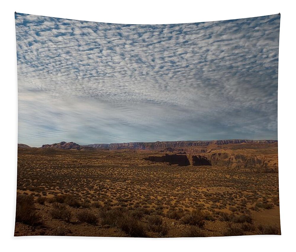 Desert Tapestry featuring the photograph The High Desert of Northern Arizona by Laura Putman