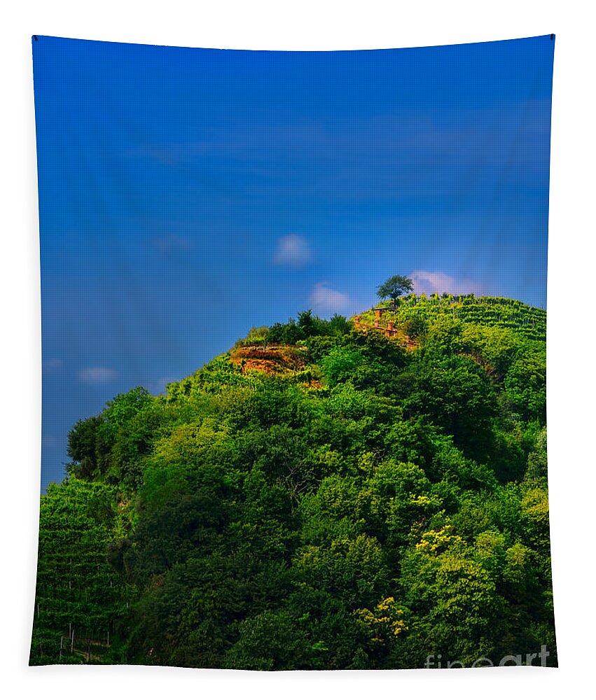 Vineyard Tapestry featuring the photograph The hill by The P