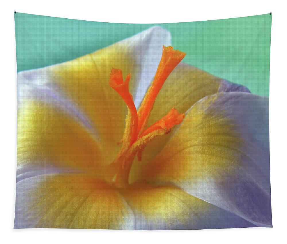Crocus Tapestry featuring the photograph The Interior Design Of Crocus by Terence Davis