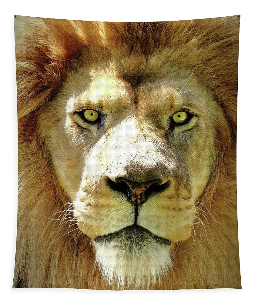 Lion Tapestry featuring the photograph The King by Lens Art Photography By Larry Trager