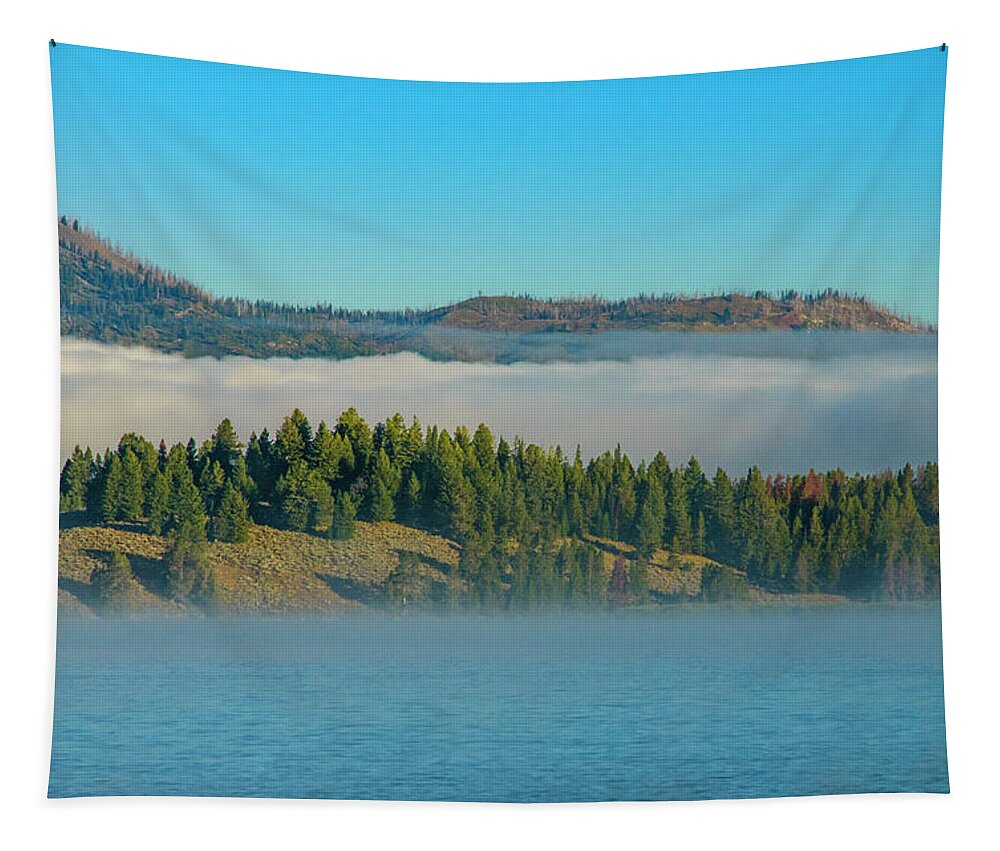 Grand Teton National Park Tapestry featuring the photograph The Lakeshore 1 by Melissa Southern