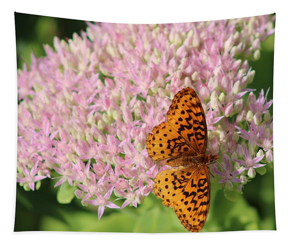 Flower Tapestry featuring the photograph The Last Flower of Summer by Christopher Reed