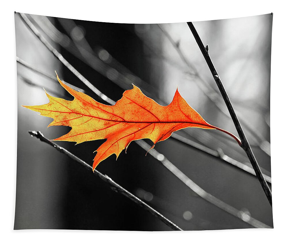 The Last Leaf Tapestry featuring the photograph The last leaf by Carolyn Derstine