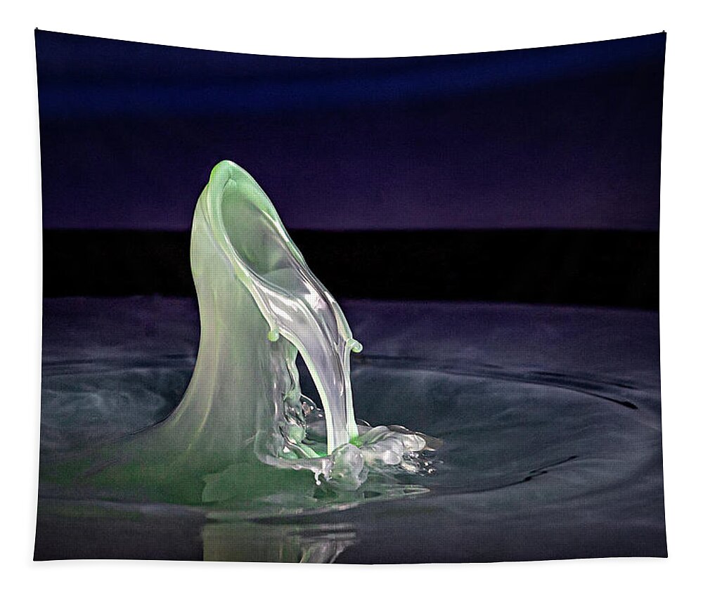 Water Drop Tapestry featuring the photograph The Leaking Spout by Michael McKenney