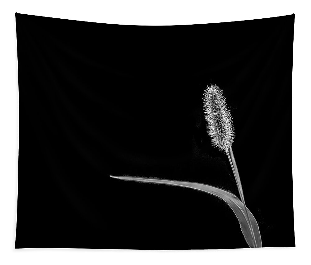 Grass Tapestry featuring the photograph The Little Things BW by Cathy Kovarik