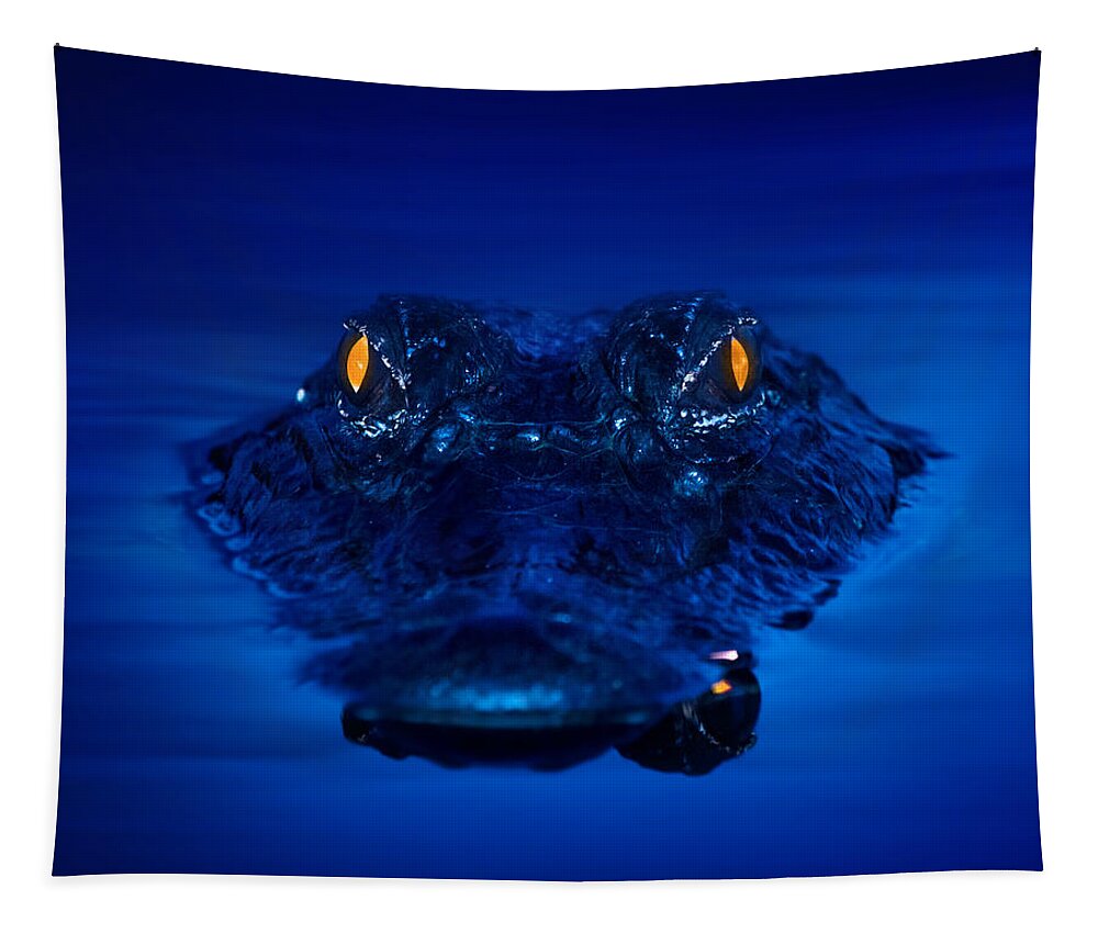 Alligator Tapestry featuring the photograph The Littlest Predator by Mark Andrew Thomas