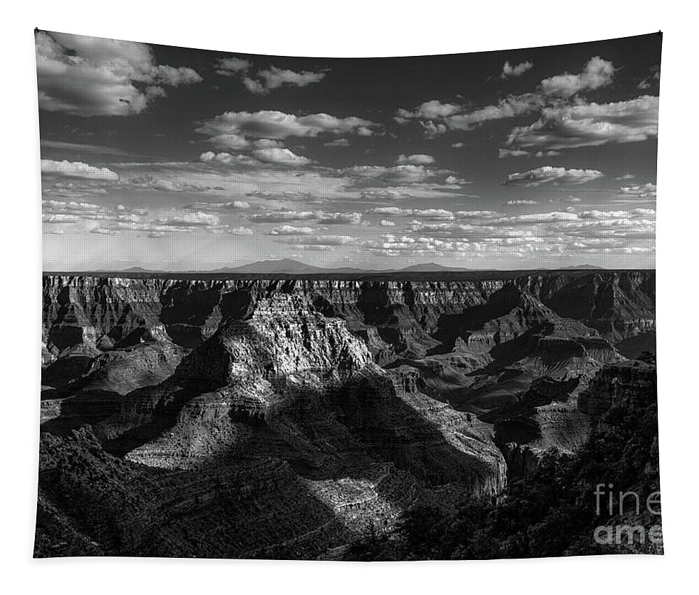 Grand Canyon Tapestry featuring the photograph The Magnificent Grand Canyon, Arizona in Black and White by Diane Diederich