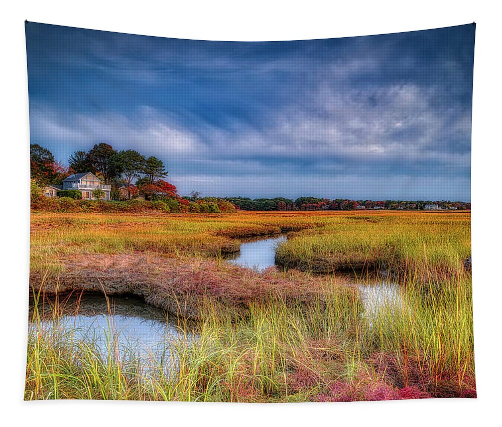 Footbridge Beach Tapestry featuring the photograph The Marsh by Penny Polakoff