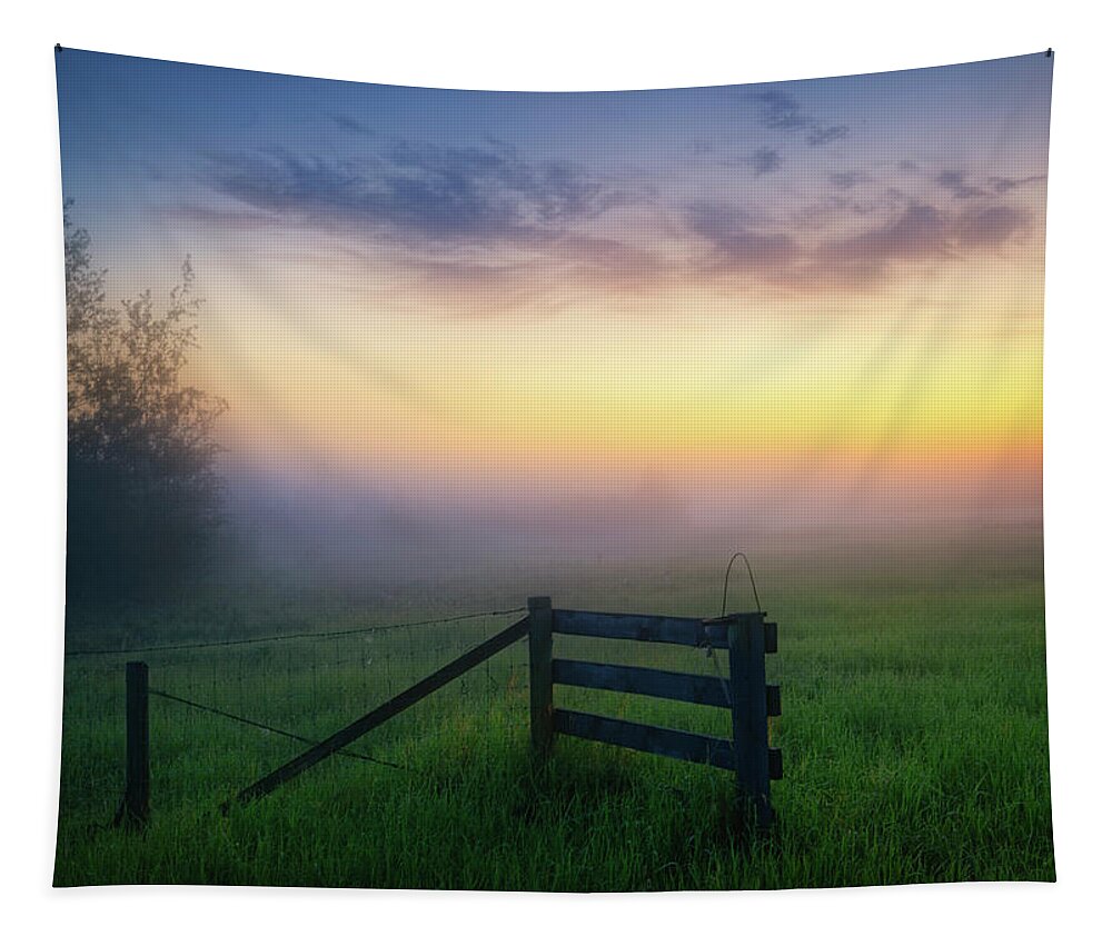 Landscape Tapestry featuring the photograph The Meadow by Dan Jurak