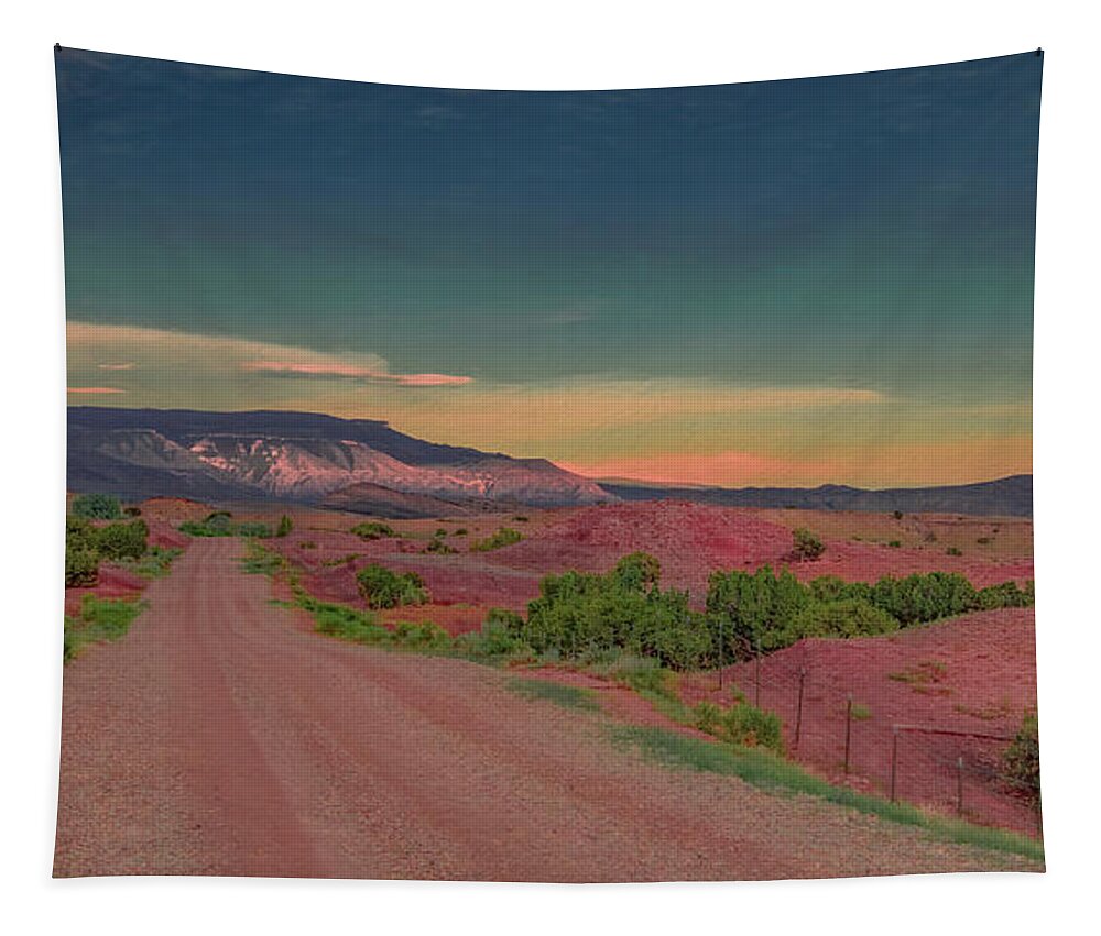 Montana Tapestry featuring the photograph The Middle of Nowhere, Montana by Marcy Wielfaert