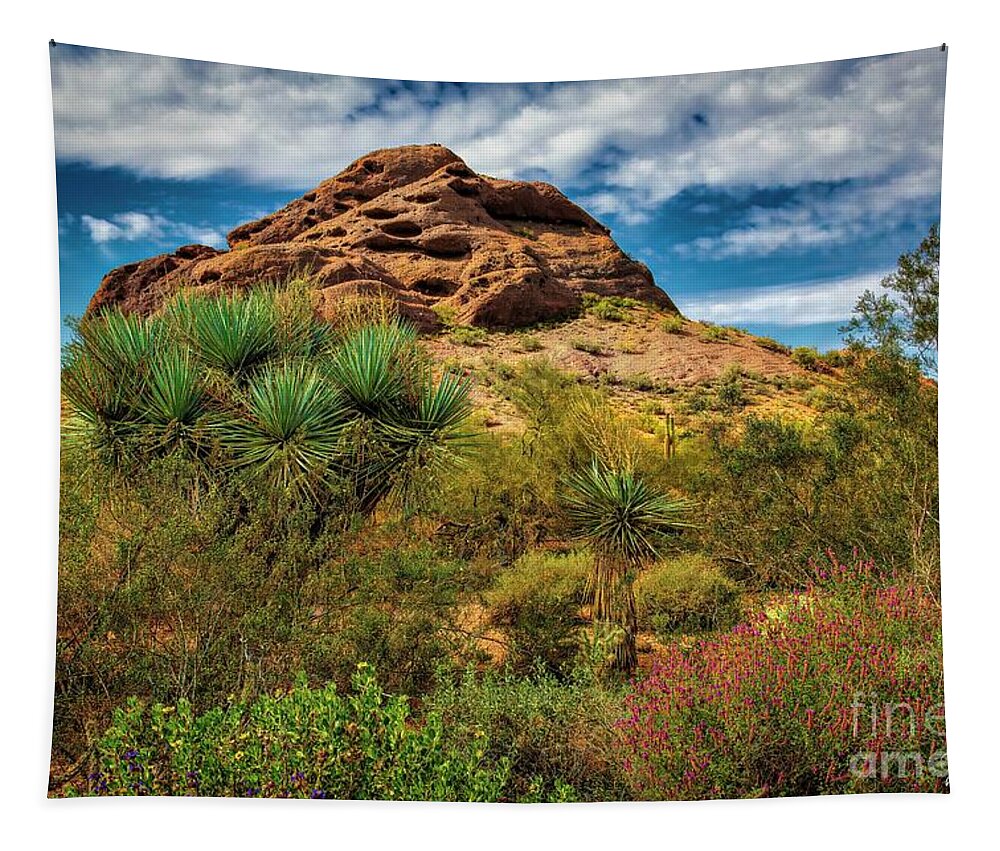 Jon Burch Tapestry featuring the photograph The Mighty Papago by Jon Burch Photography