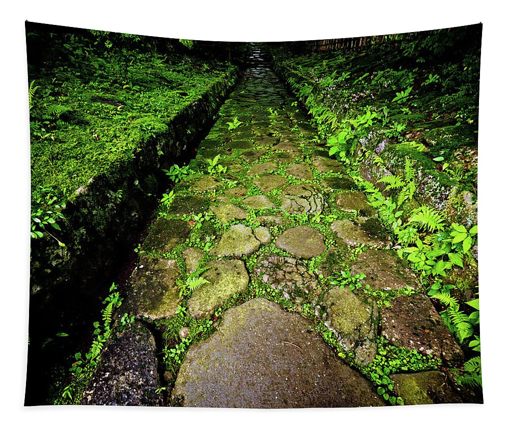 Nikko Tapestry featuring the photograph The mossy way... Nikko. Japan by Lie Yim