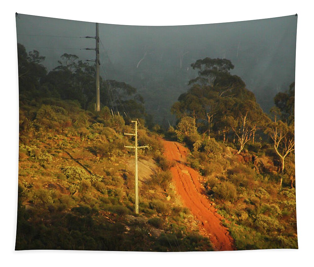 Australia Tapestry featuring the photograph The nowhere track - a red earth track leading into the mists of by Jeremy Holton